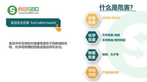 餐飲業食品安全管理體系 企業管理的核心引擎